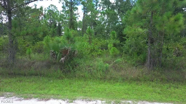 $48,500 | 28072 Crestwood Drive, Punta Gorda, FL 33955