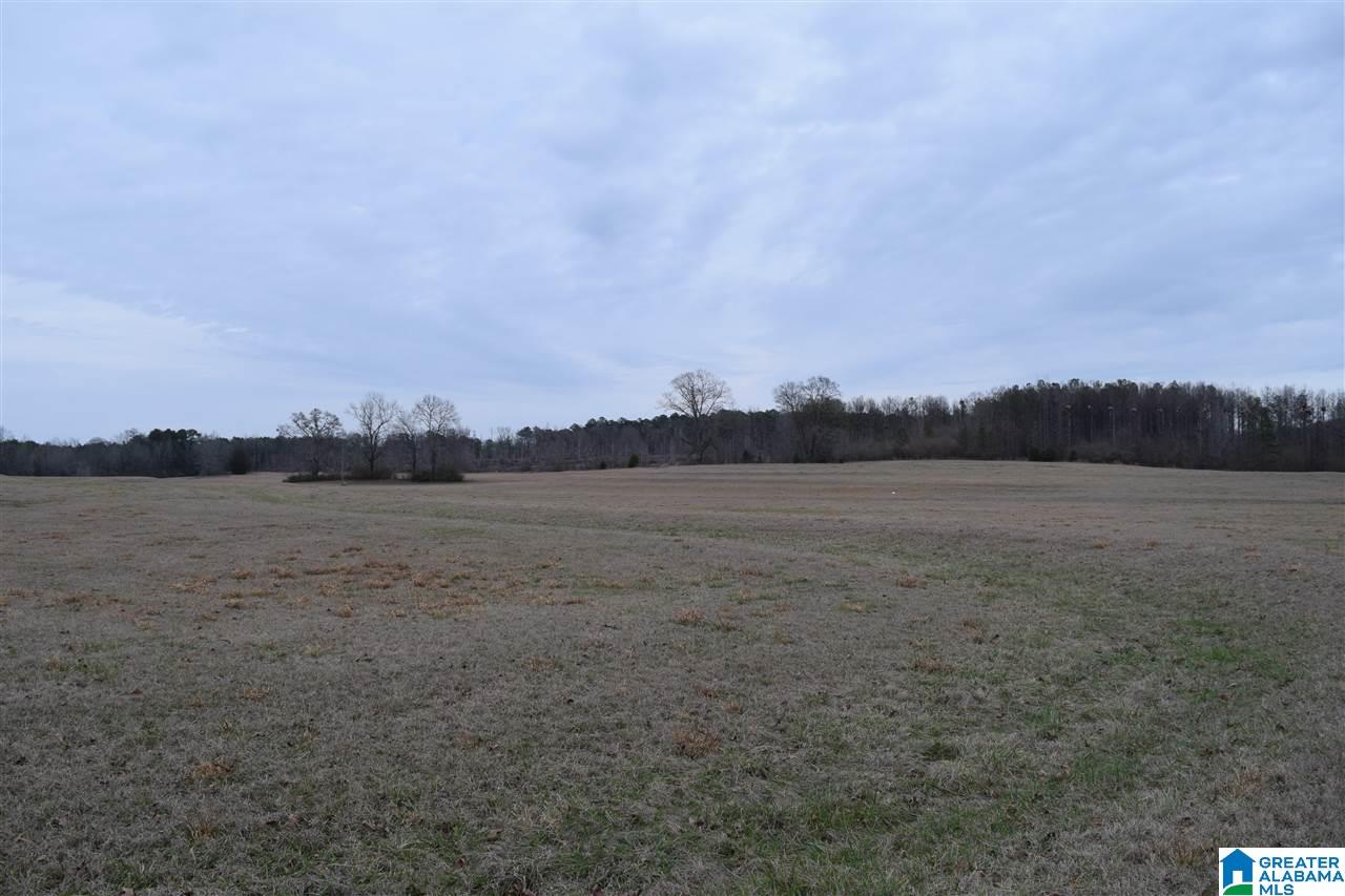 11218 Vance Blocton Road Vance, AL 35490 - Photo 12 of 37