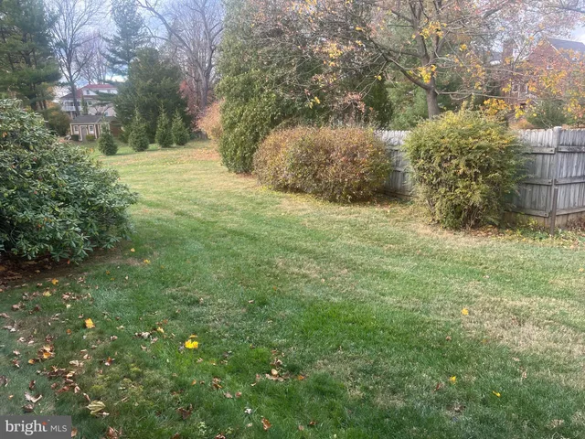 a view of a yard with large trees