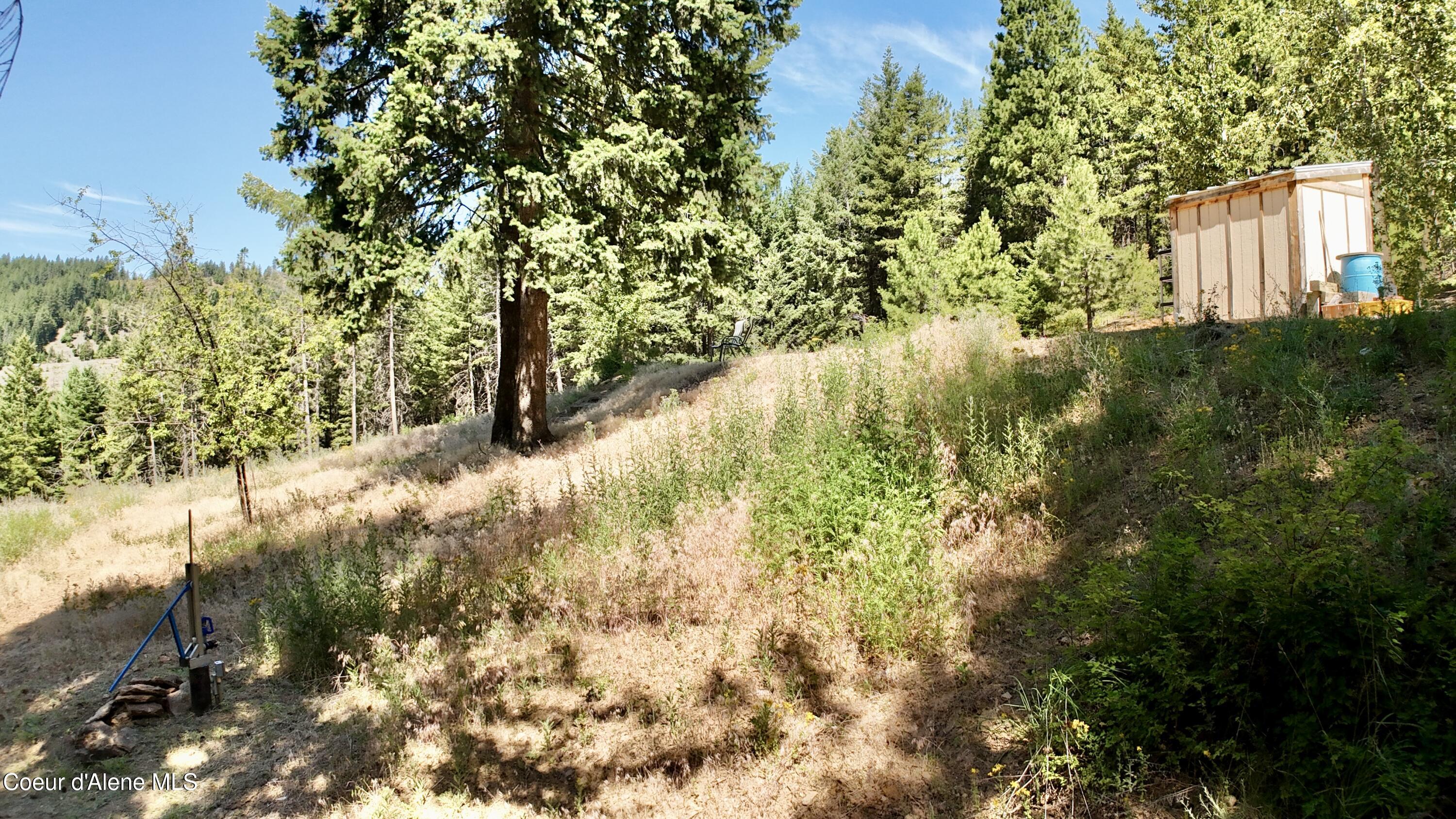 1710 Tower Mountain Road Blanchard, ID 83804 - Photo 13 of 45 12