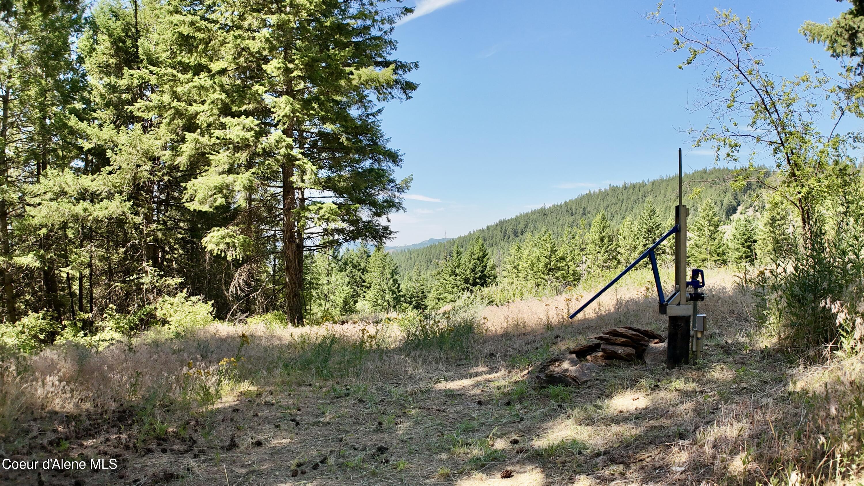 1710 Tower Mountain Road Blanchard, ID 83804 - Photo 14 of 45 13