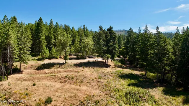 $529,000 | 1710 Tower Mountain Road, Blanchard, ID 83804