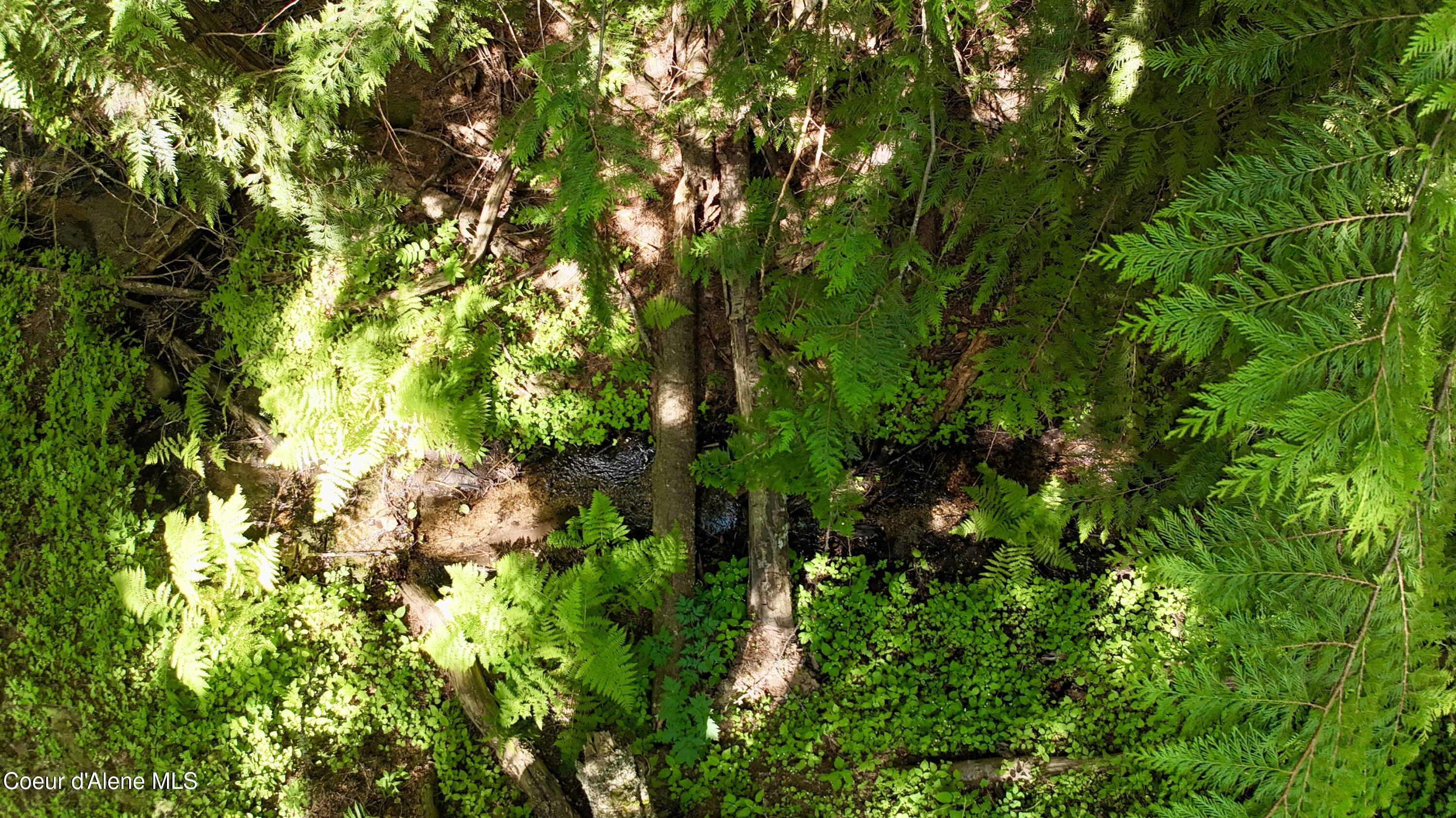 1710 Tower Mountain Road Blanchard, ID 83804 - Photo 2 of 45 2.1