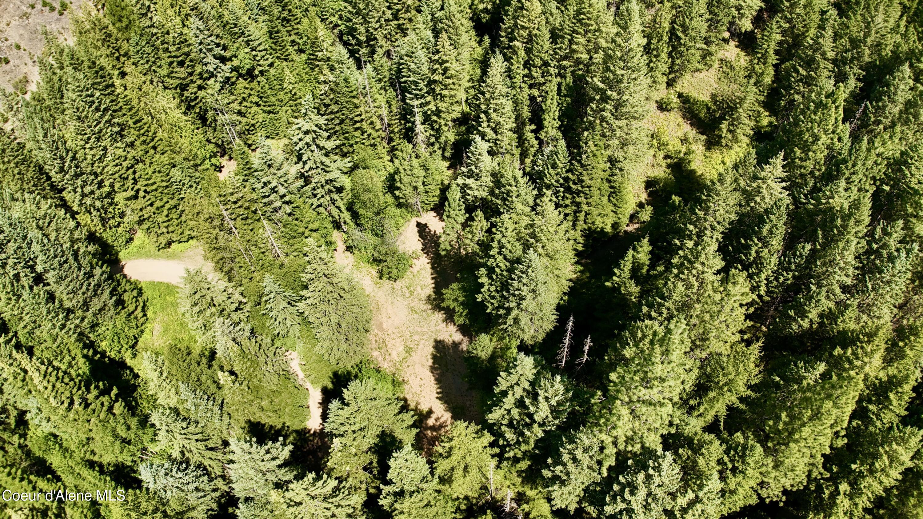 1710 Tower Mountain Road Blanchard, ID 83804 - Photo 25 of 45 24