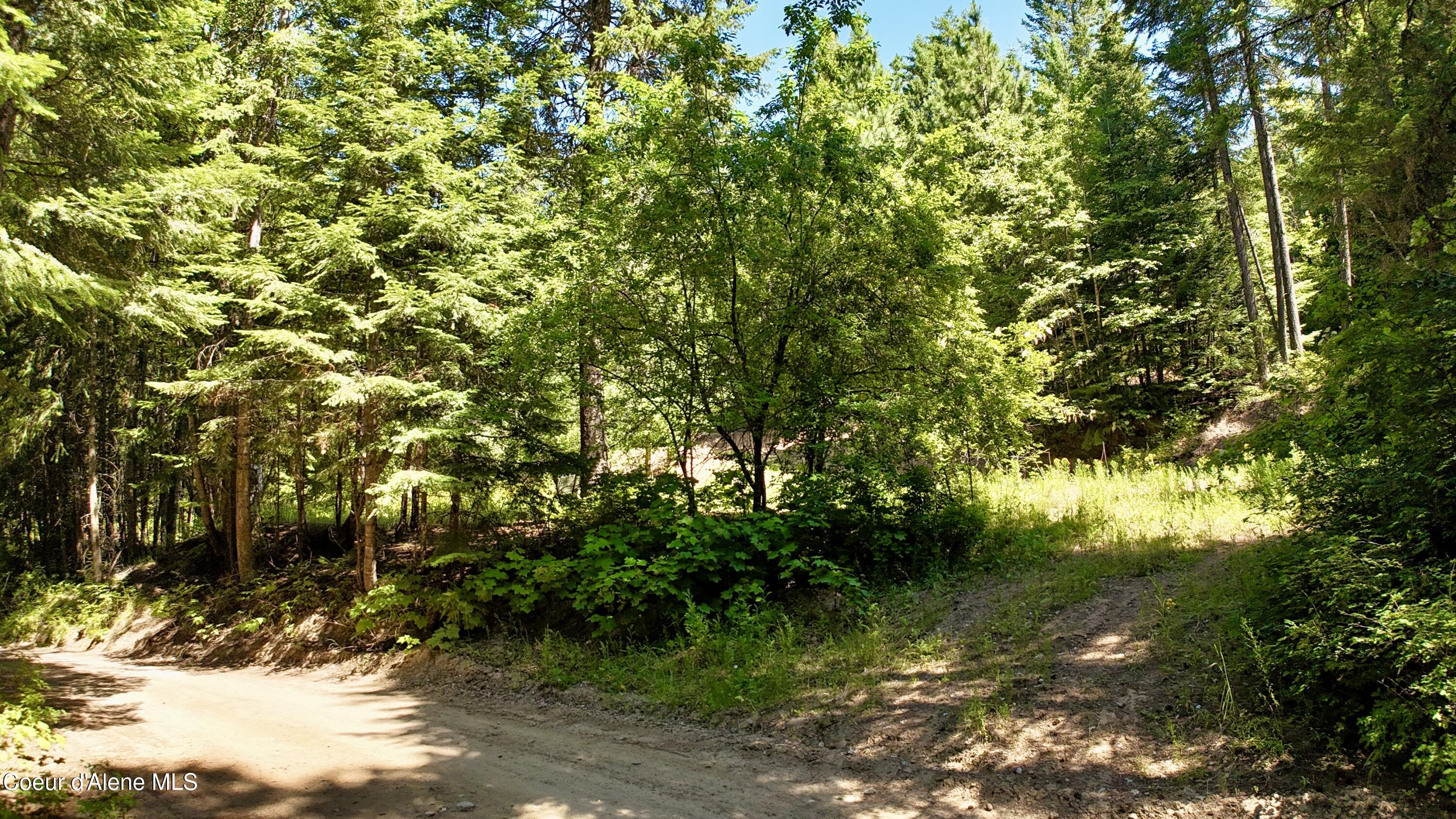 1710 Tower Mountain Road Blanchard, ID 83804 - Photo 26 of 45 25