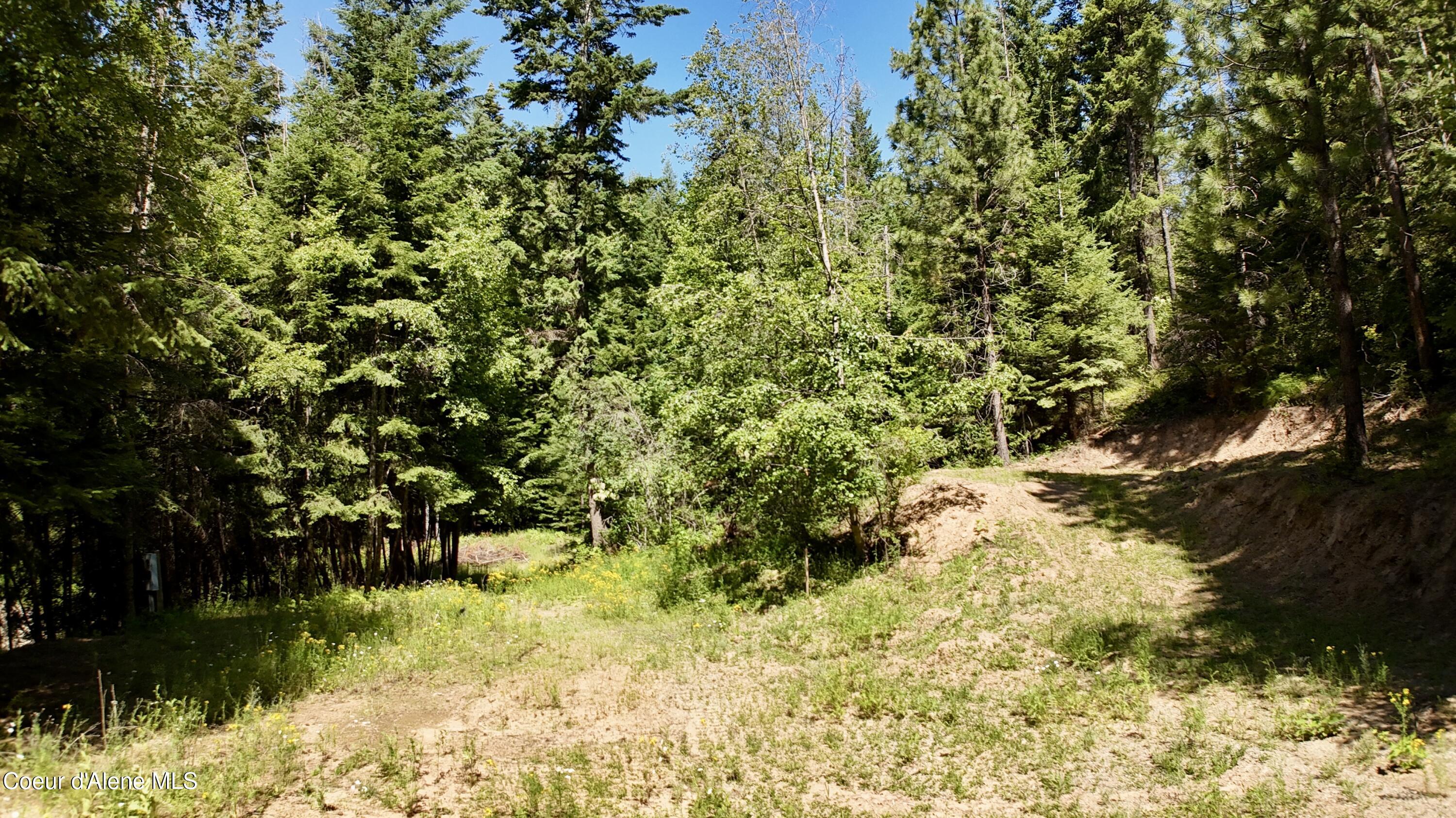 1710 Tower Mountain Road Blanchard, ID 83804 - Photo 27 of 45 26