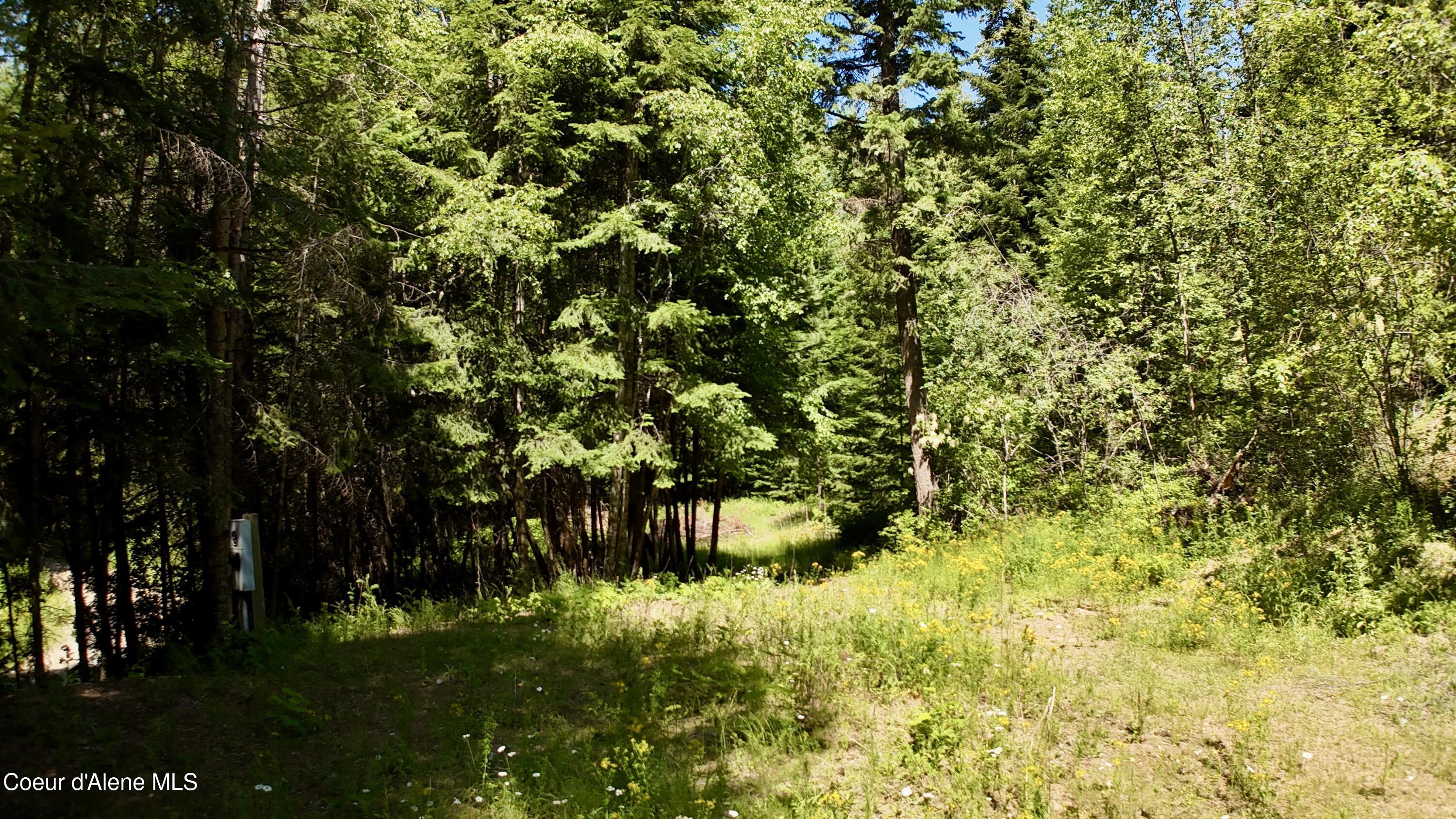 1710 Tower Mountain Road Blanchard, ID 83804 - Photo 28 of 45 27