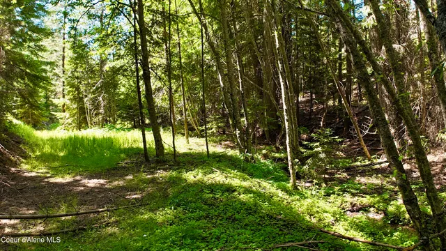 $529,000 | 1710 Tower Mountain Road, Blanchard, ID 83804