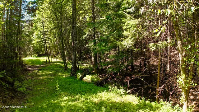 $529,000 | 1710 Tower Mountain Road, Blanchard, ID 83804