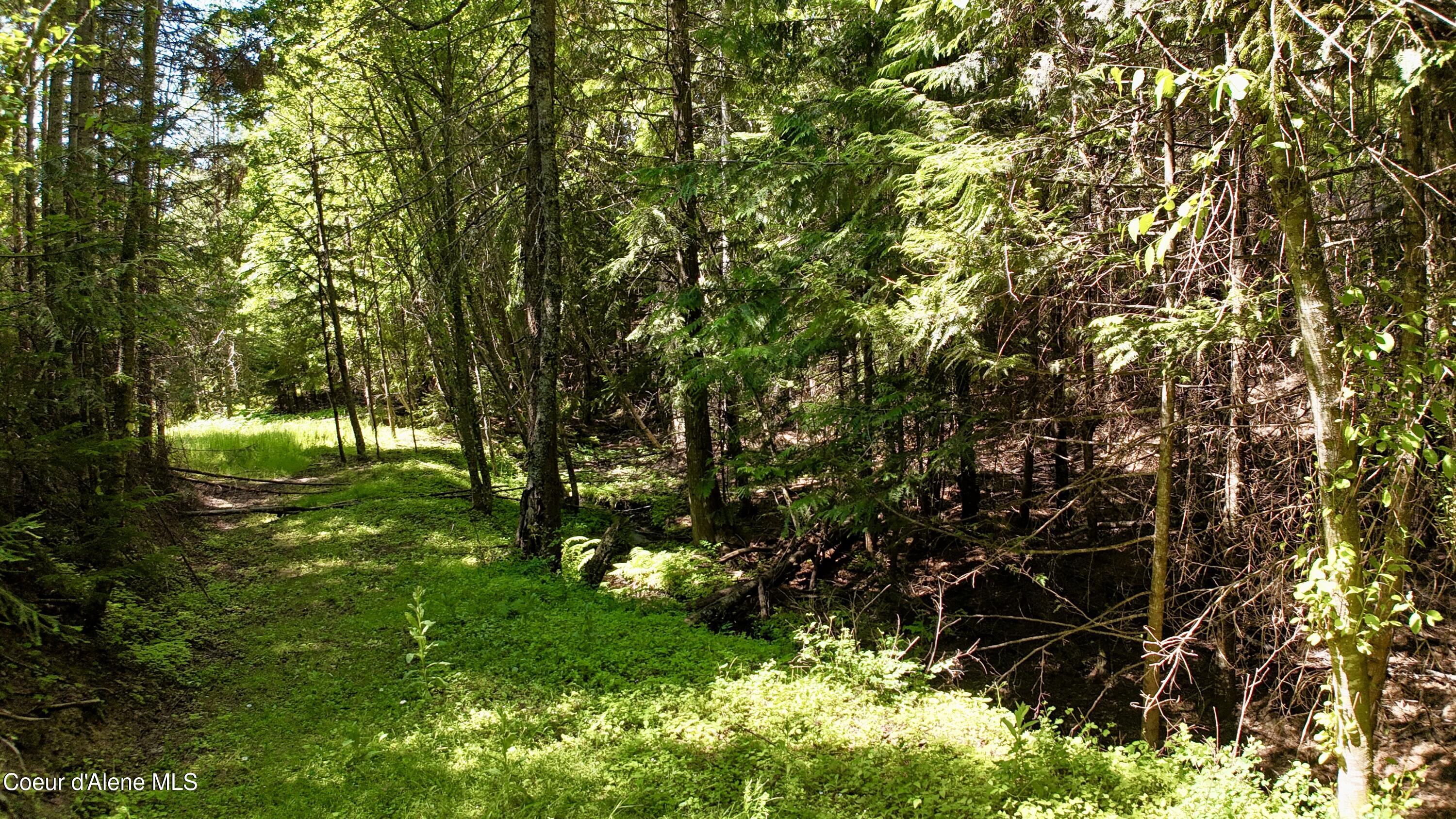 1710 Tower Mountain Road Blanchard, ID 83804 - Photo 30 of 45 29