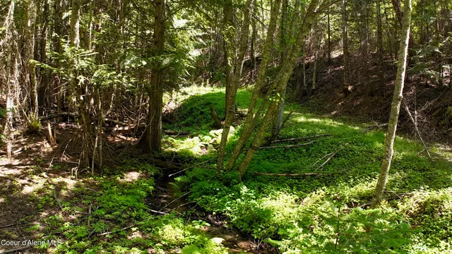 $529,000 | 1710 Tower Mountain Road, Blanchard, ID 83804