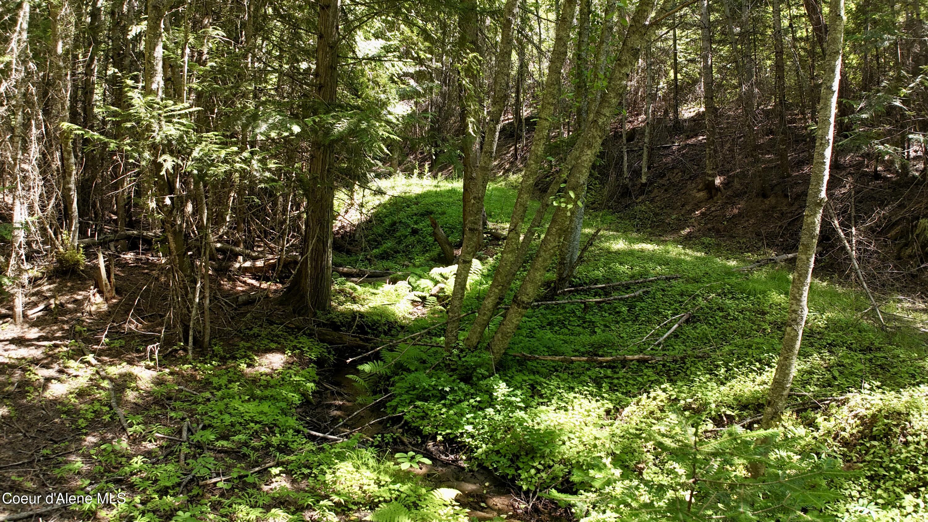 1710 Tower Mountain Road Blanchard, ID 83804 - Photo 31 of 45 30