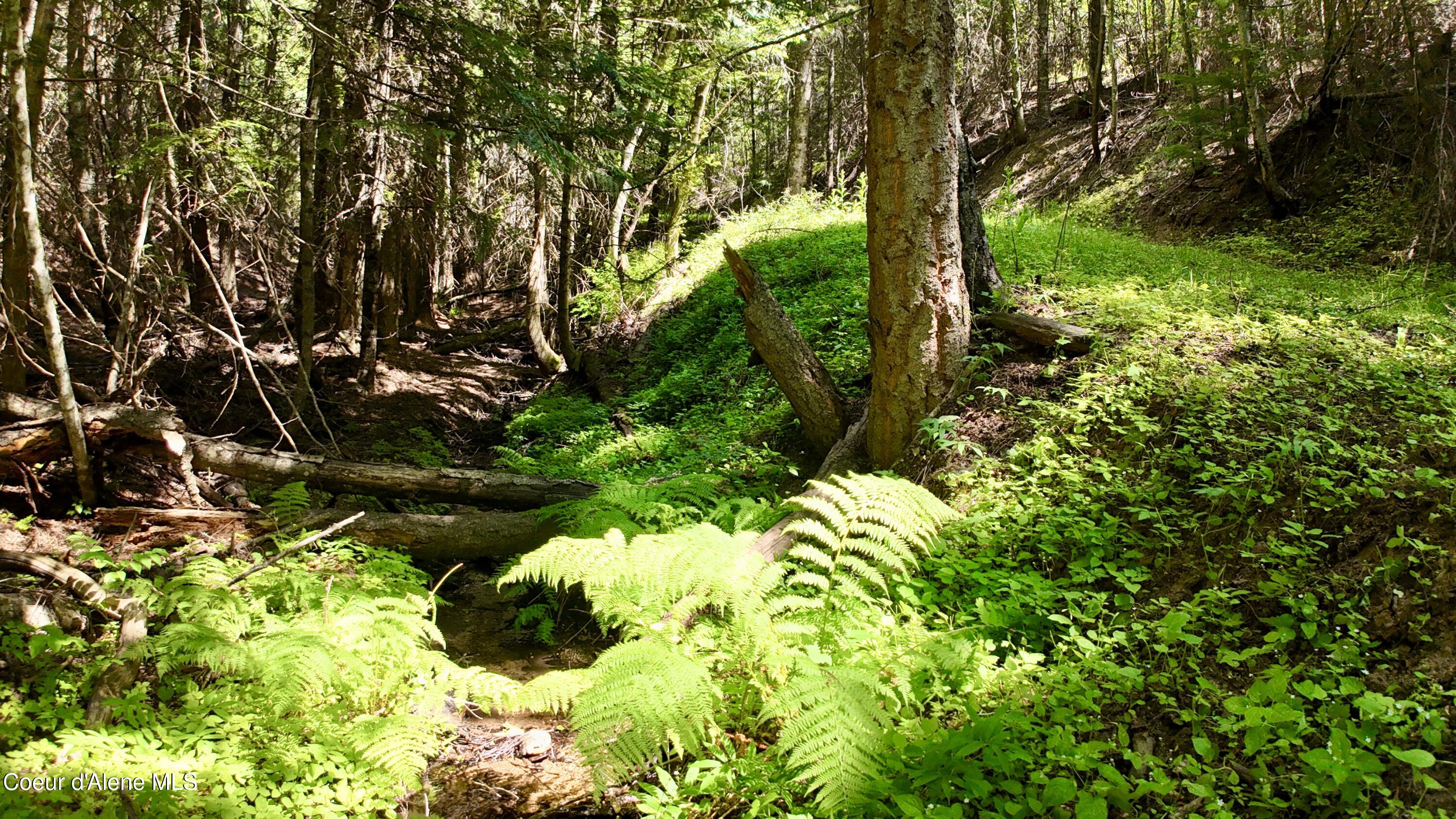 1710 Tower Mountain Road Blanchard, ID 83804 - Photo 32 of 45 31