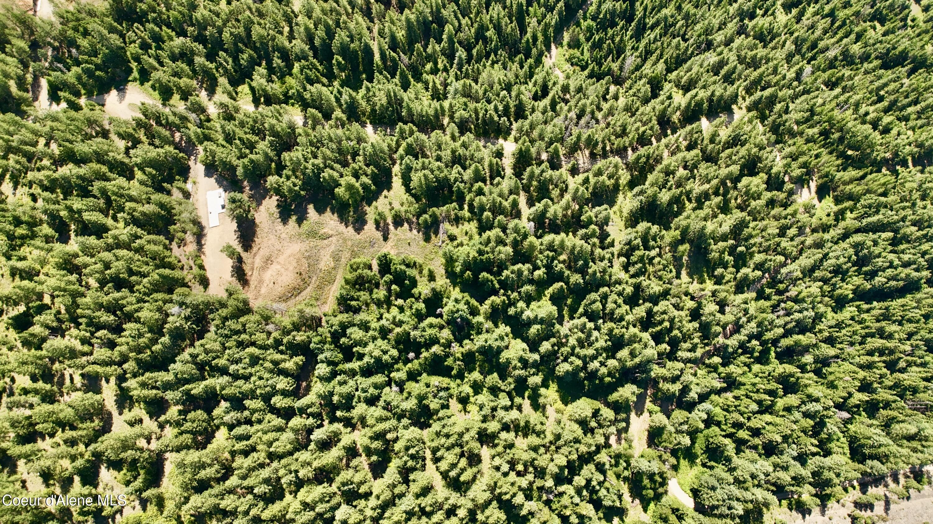 1710 Tower Mountain Road Blanchard, ID 83804 - Photo 33 of 45 33