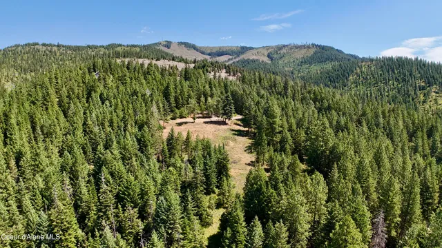 $529,000 | 1710 Tower Mountain Road, Blanchard, ID 83804