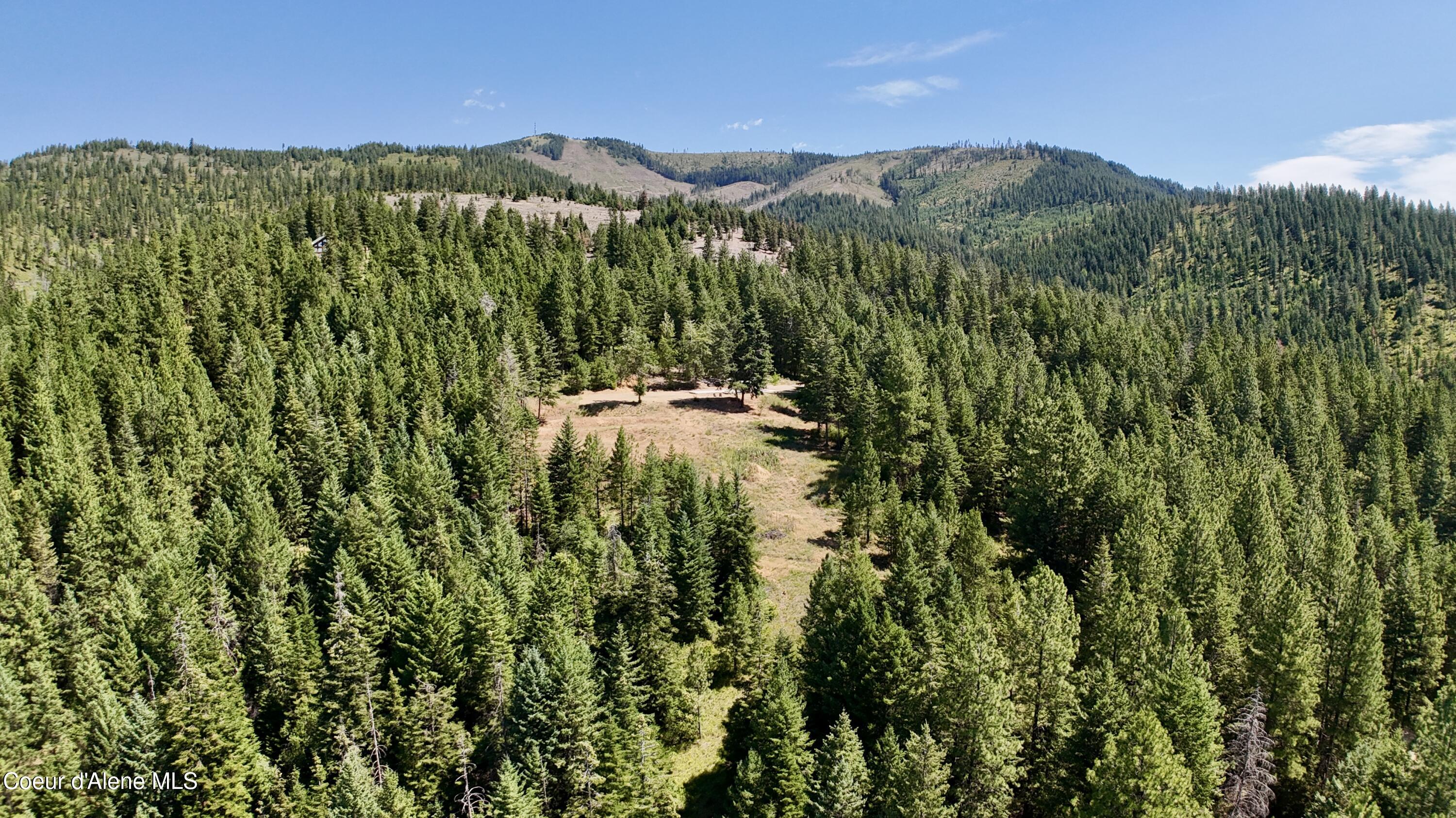 1710 Tower Mountain Road Blanchard, ID 83804 - Photo 35 of 45 36