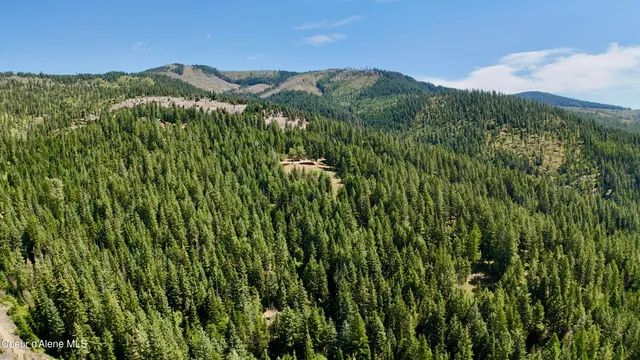 $529,000 | 1710 Tower Mountain Road, Blanchard, ID 83804