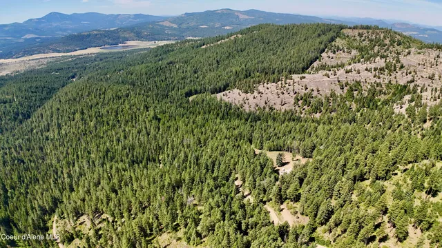 $529,000 | 1710 Tower Mountain Road, Blanchard, ID 83804