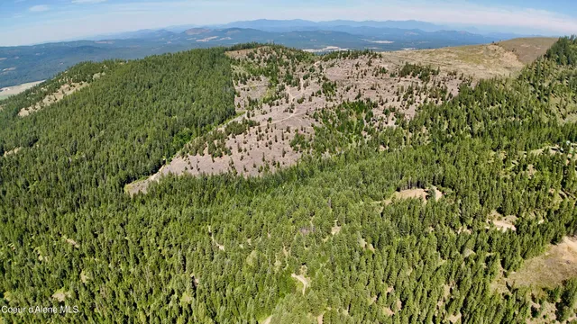 $529,000 | 1710 Tower Mountain Road, Blanchard, ID 83804