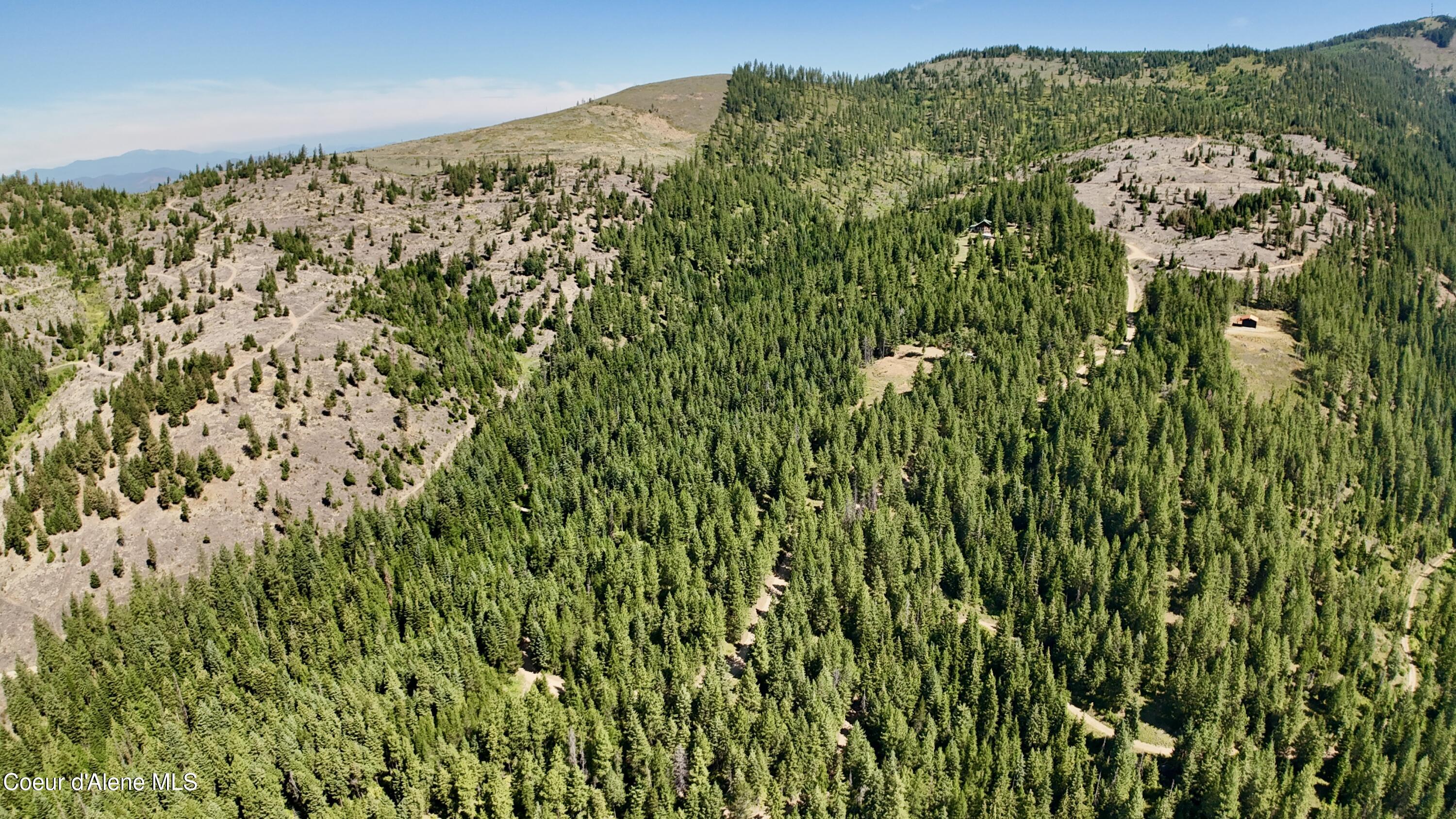 1710 Tower Mountain Road Blanchard, ID 83804 - Photo 39 of 45 40