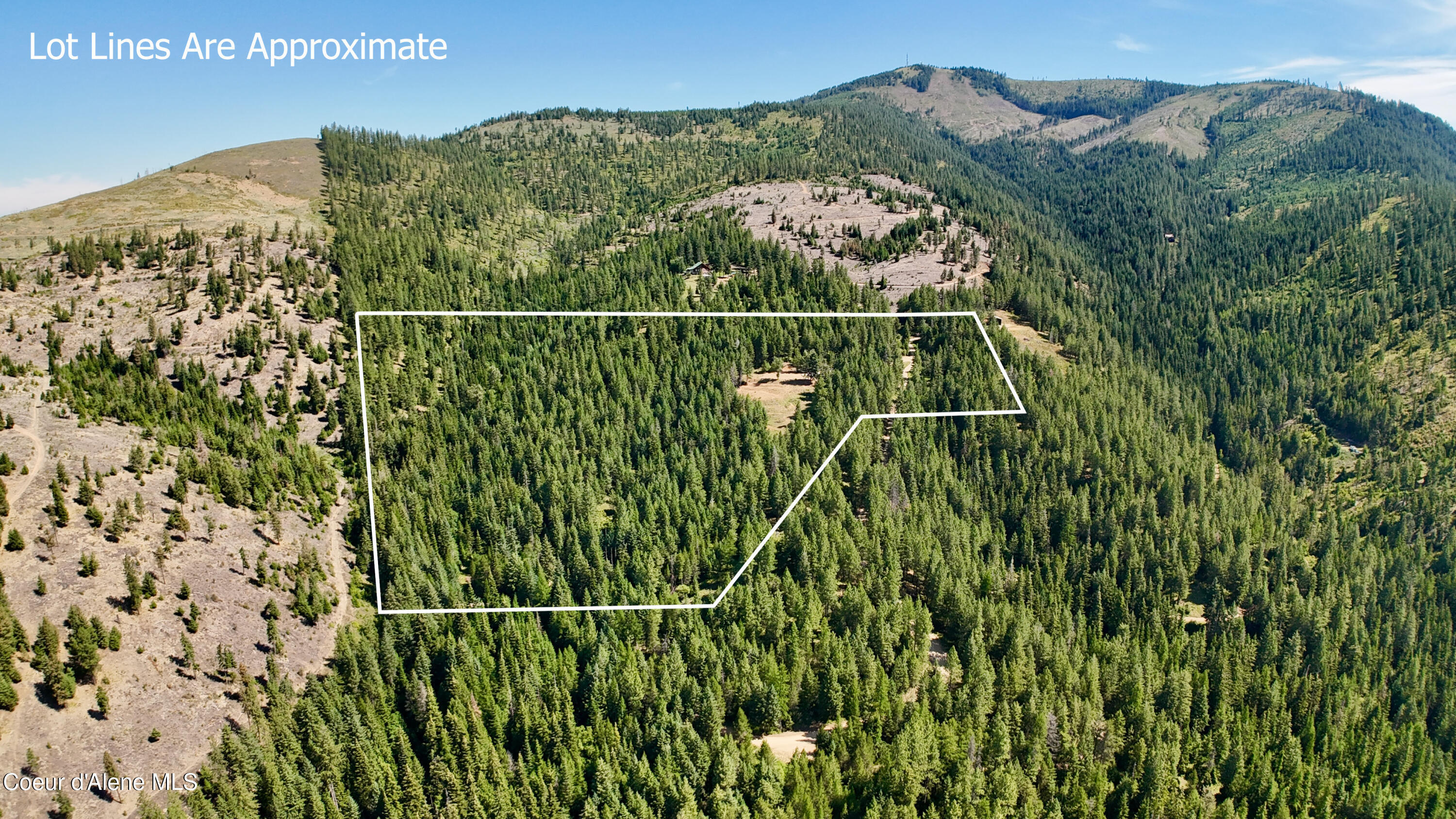 1710 Tower Mountain Road Blanchard, ID 83804 - Photo 4 of 45 3