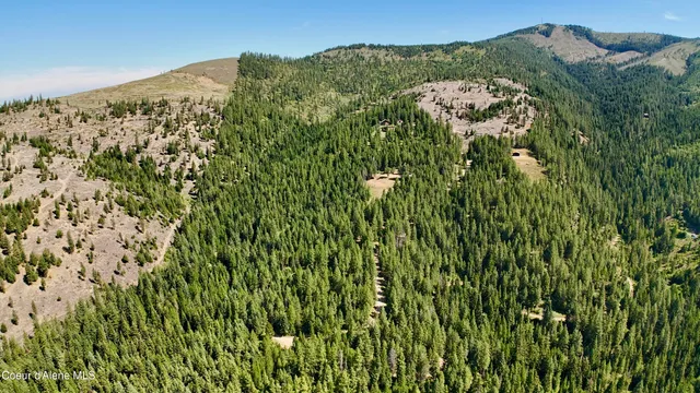 $529,000 | 1710 Tower Mountain Road, Blanchard, ID 83804