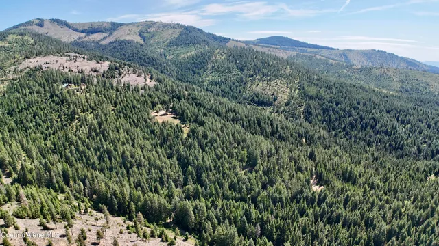 $529,000 | 1710 Tower Mountain Road, Blanchard, ID 83804