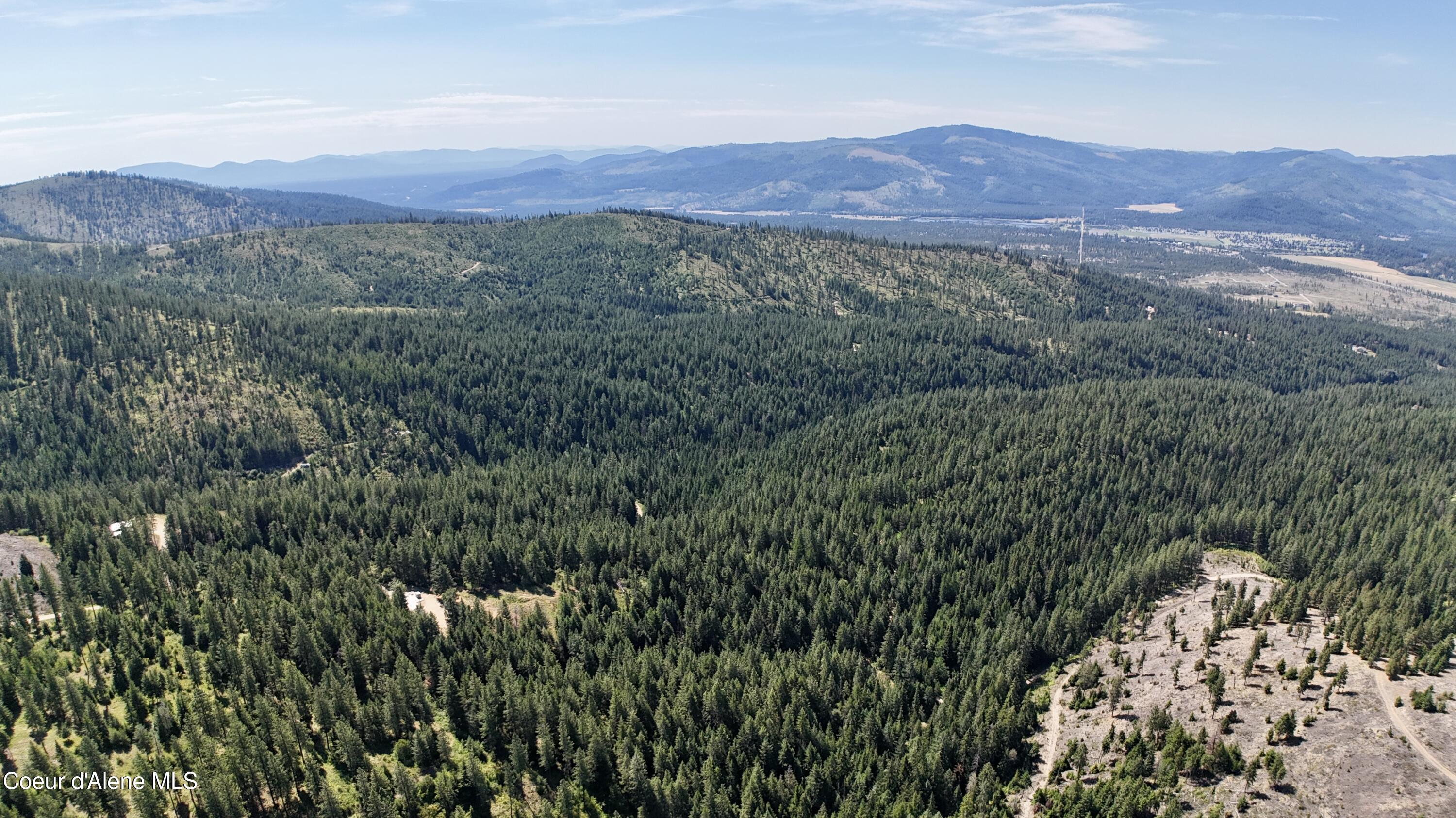 1710 Tower Mountain Road Blanchard, ID 83804 - Photo 43 of 45 43