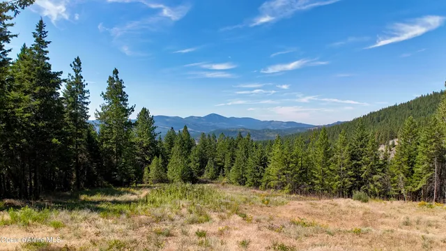 $529,000 | 1710 Tower Mountain Road, Blanchard, ID 83804