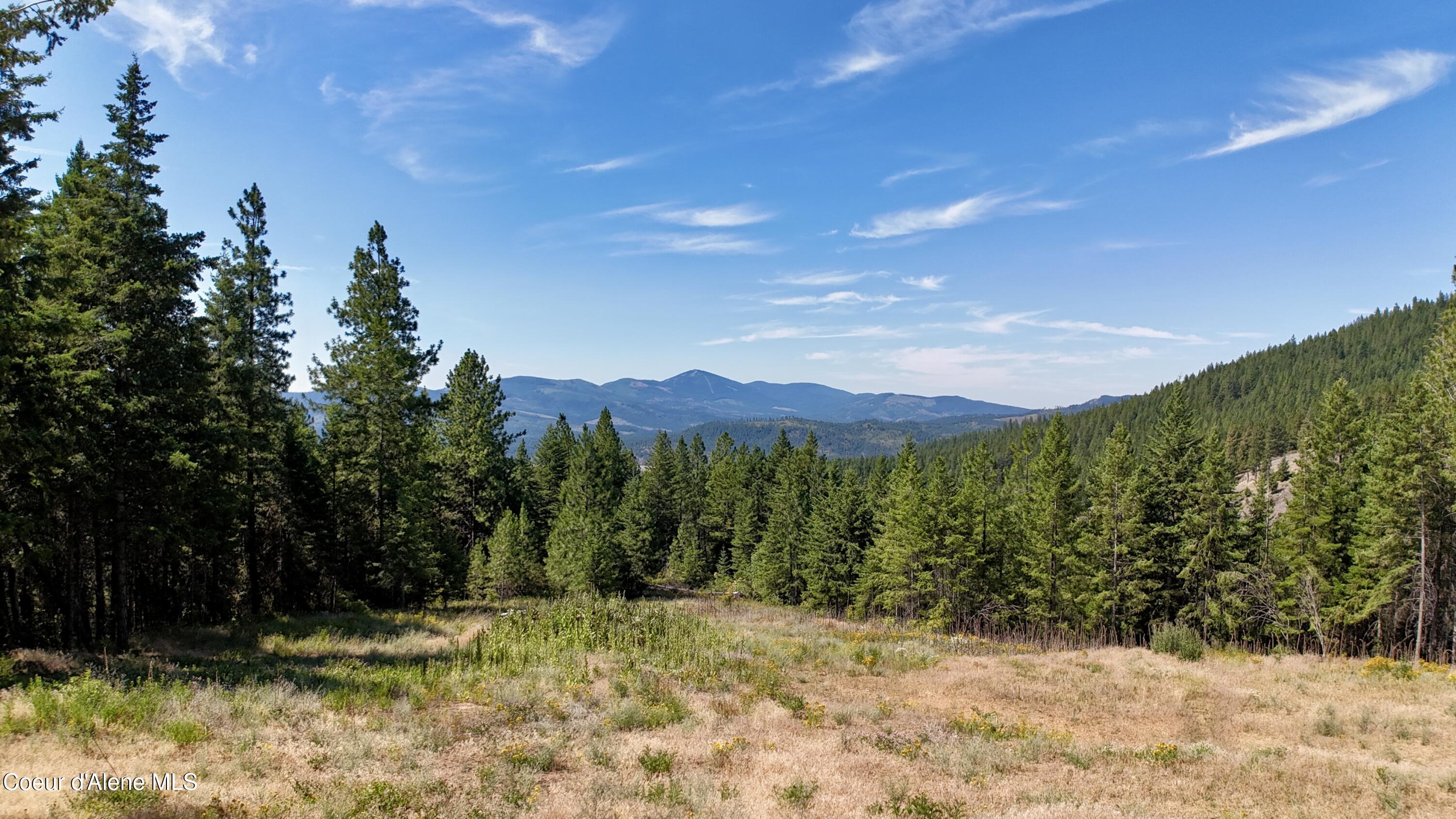 1710 Tower Mountain Road Blanchard, ID 83804 - Photo 45 of 45 45