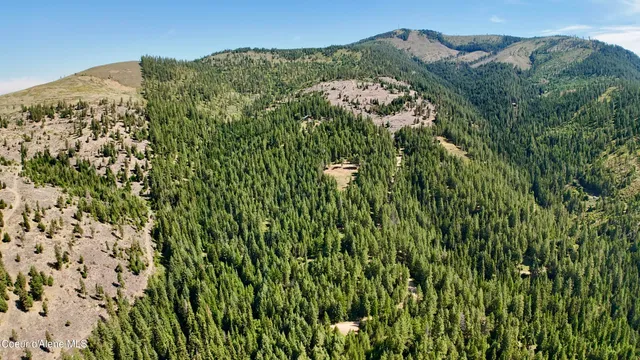 $529,000 | 1710 Tower Mountain Road, Blanchard, ID 83804