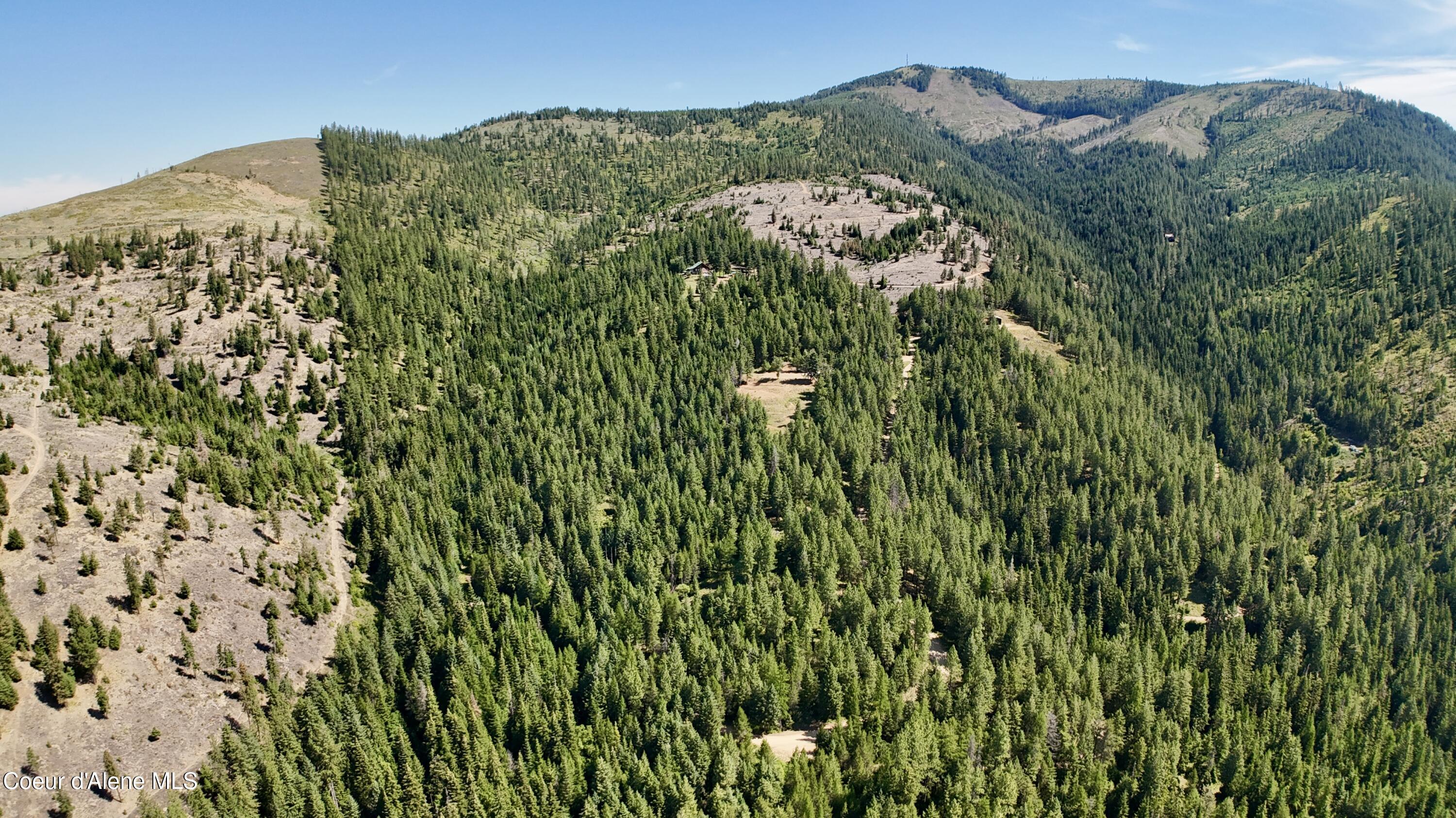 1710 Tower Mountain Road Blanchard, ID 83804 - Photo 5 of 45 2