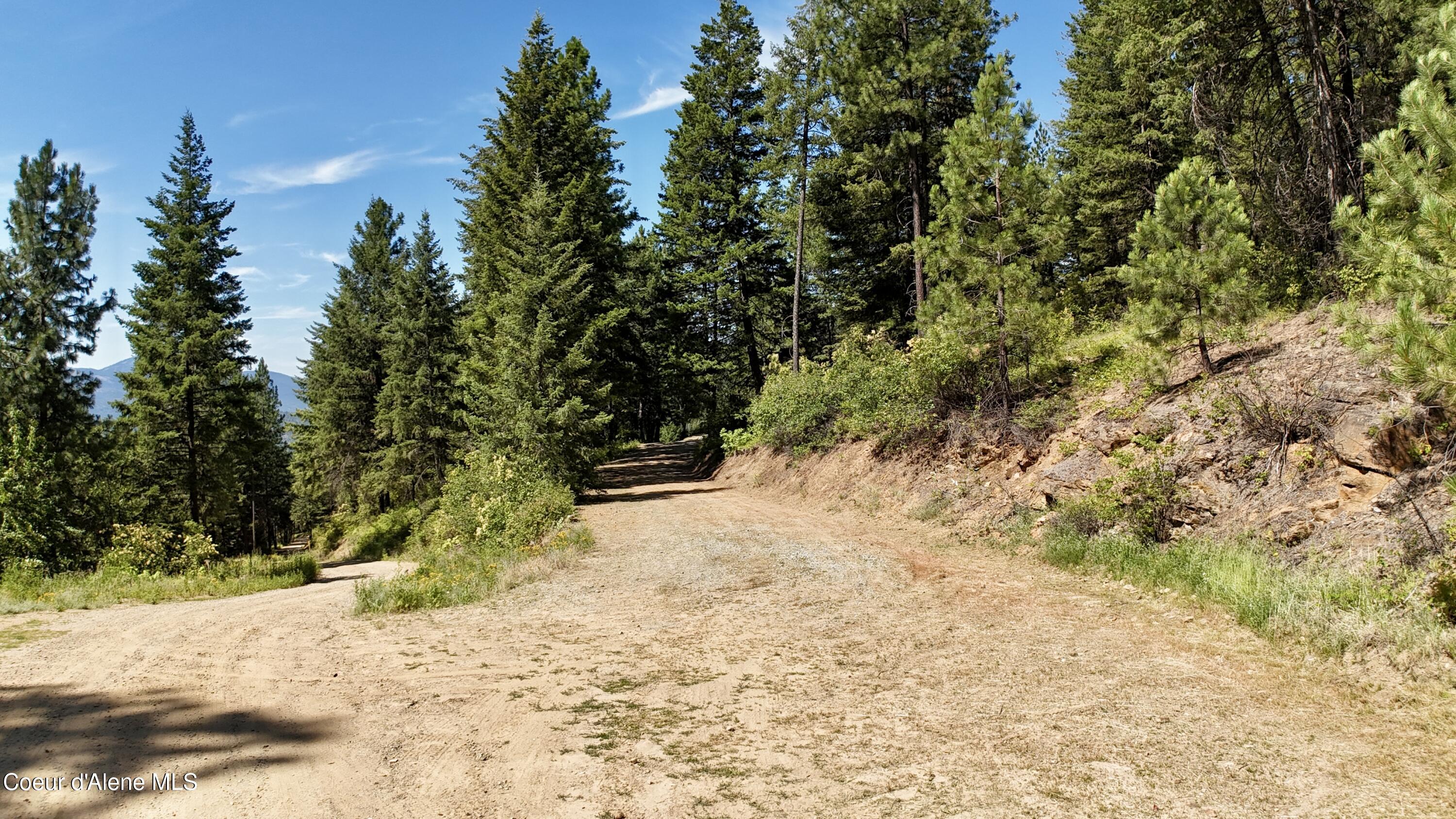 1710 Tower Mountain Road Blanchard, ID 83804 - Photo 7 of 45 6