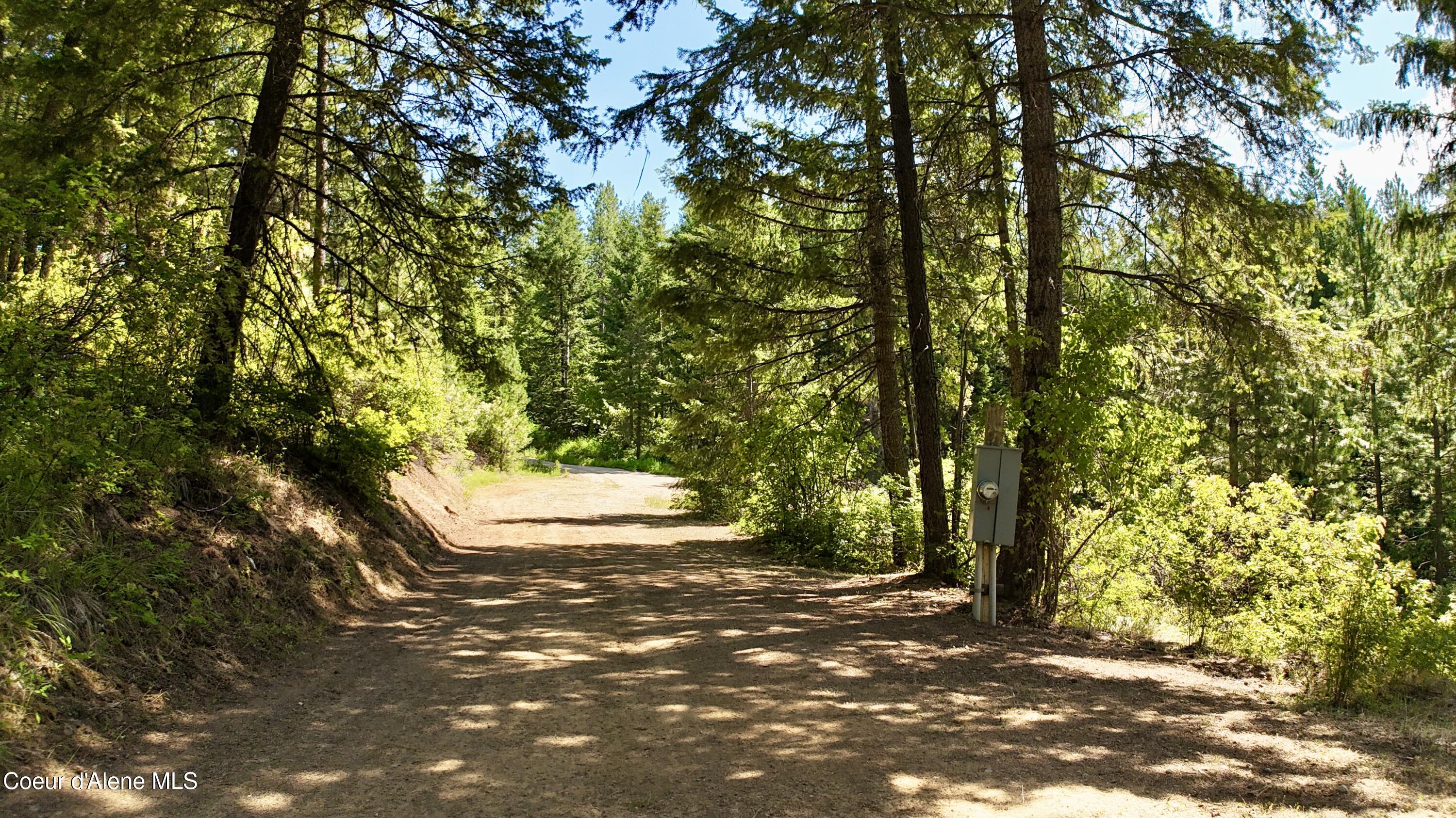 1710 Tower Mountain Road Blanchard, ID 83804 - Photo 8 of 45 7