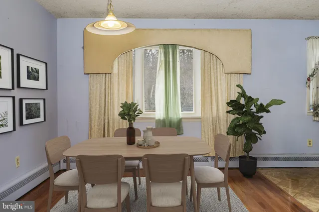 a dining room with furniture potted plants and wooden floor