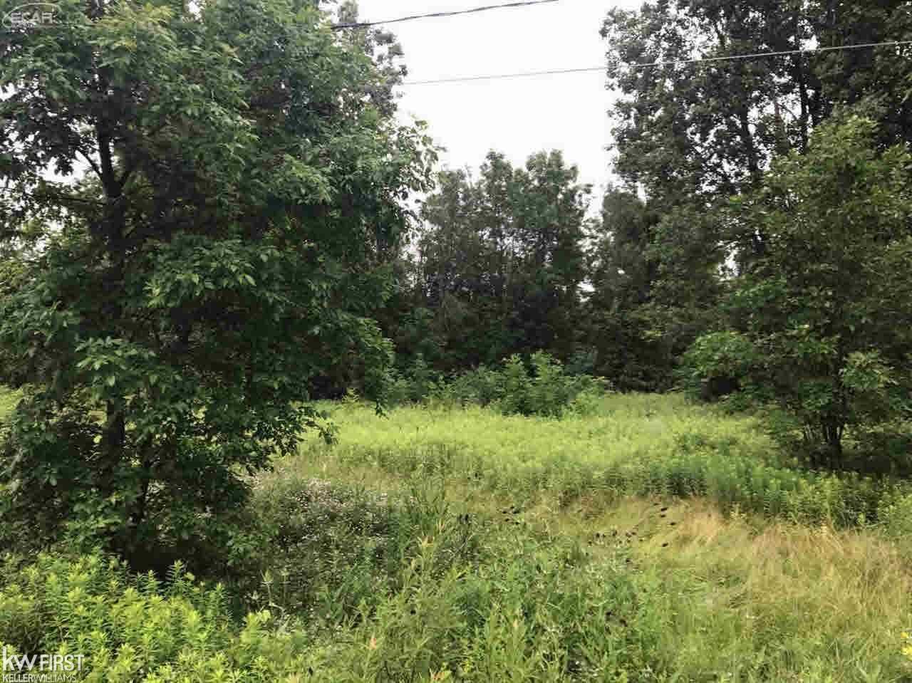 0 West Potter Road Flushing, MI 48433 - Photo 3 of 6 Gallery Image 3