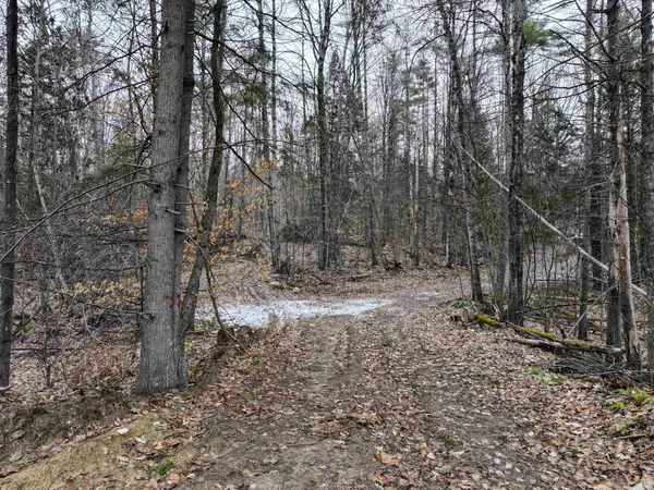 $159,000 | Tbd McConnell Road, Brandon, VT 05733