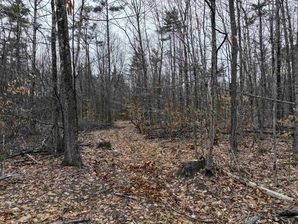 $159,000 | Tbd McConnell Road, Brandon, VT 05733