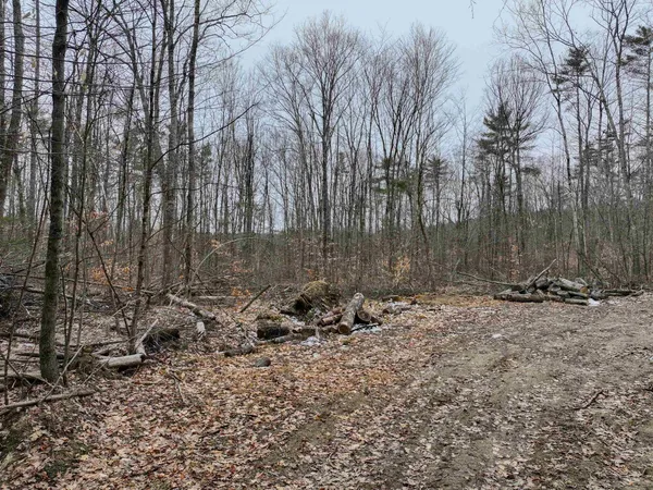 $159,000 | Tbd McConnell Road, Brandon, VT 05733