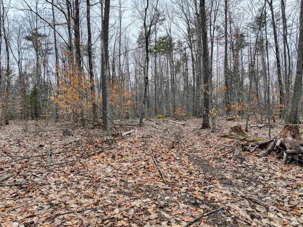 $159,000 | Tbd McConnell Road, Brandon, VT 05733