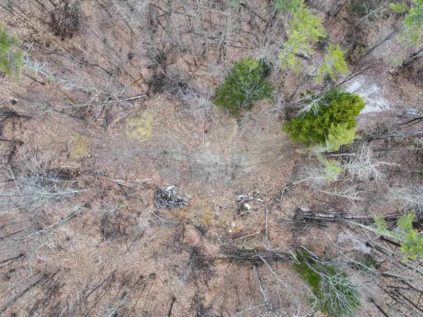 $159,000 | Tbd McConnell Road, Brandon, VT 05733