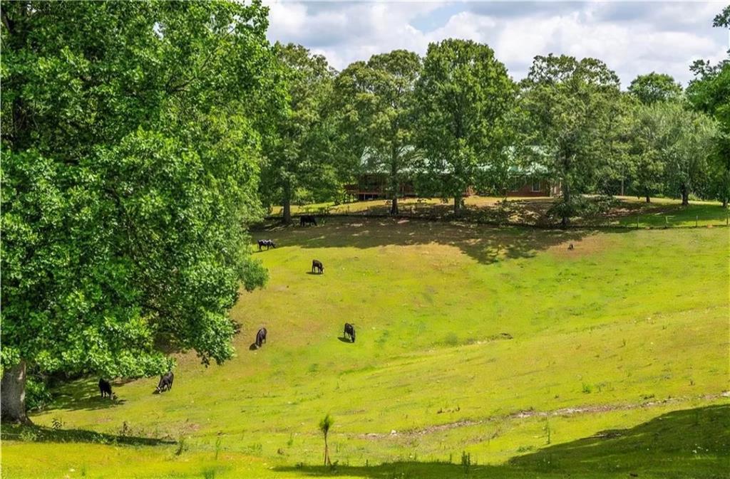 3806 Ball Ground Road Ball Ground, GA 30107 - Photo 5 of 14 Gallery Image 5