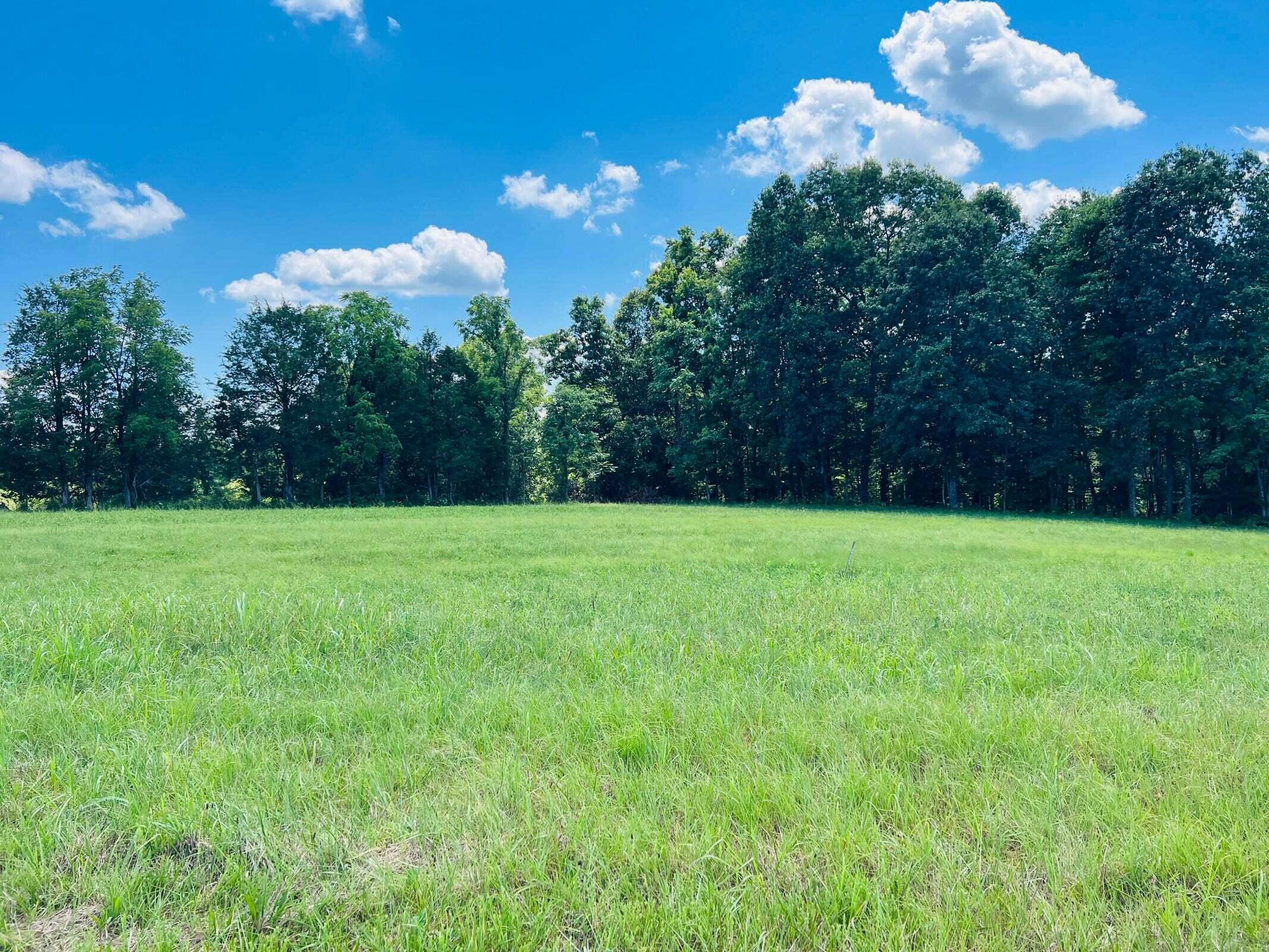 162 Dockery Road Russell Springs, KY 42642 - Photo 13 of 17 20230802180517150883000000-o