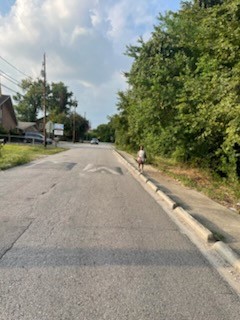 8406 Carver Road Houston, TX 77088 - Photo 6 of 6 a view of a yard with plants and trees