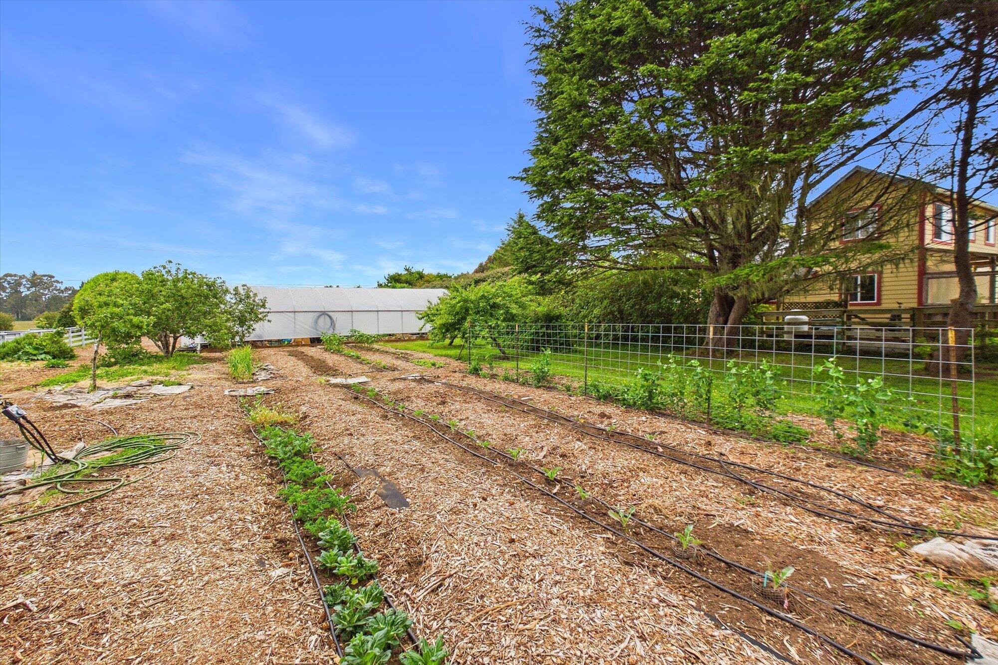 1300 Clam Beach Road McKinleyville, CA 95519 - Photo 85 of 116