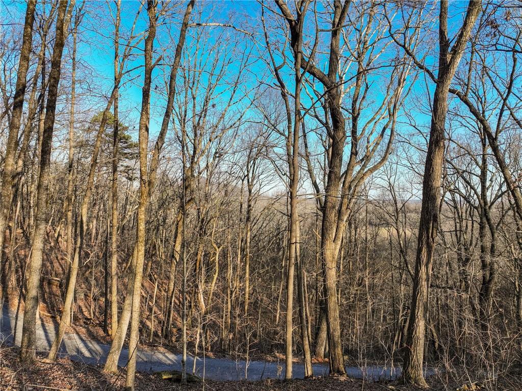 Lot 3 Mount Mincie Road Murrayville, GA 30564 - Photo 14 of 15 a view of a yard with plants and trees