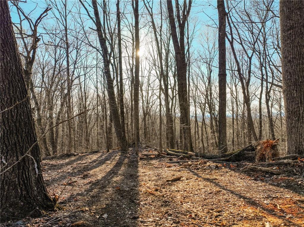 Lot 3 Mount Mincie Road Murrayville, GA 30564 - Photo 15 of 15 a backyard of a house with lots of trees