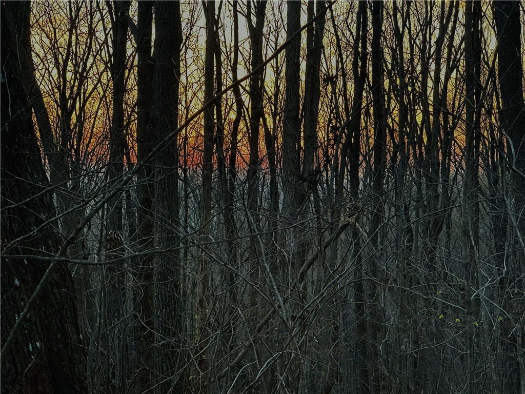 Lot 3 Mount Mincie Road Murrayville, GA 30564 - Photo 2 of 15