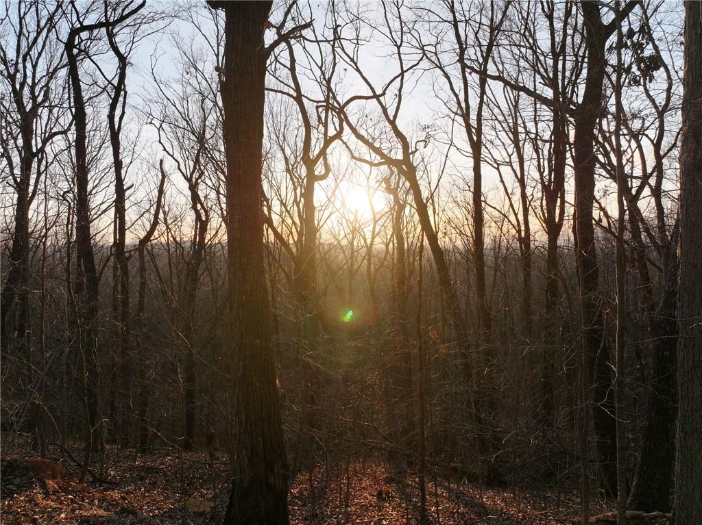 Lot 3 Mount Mincie Road Murrayville, GA 30564 - Photo 3 of 15