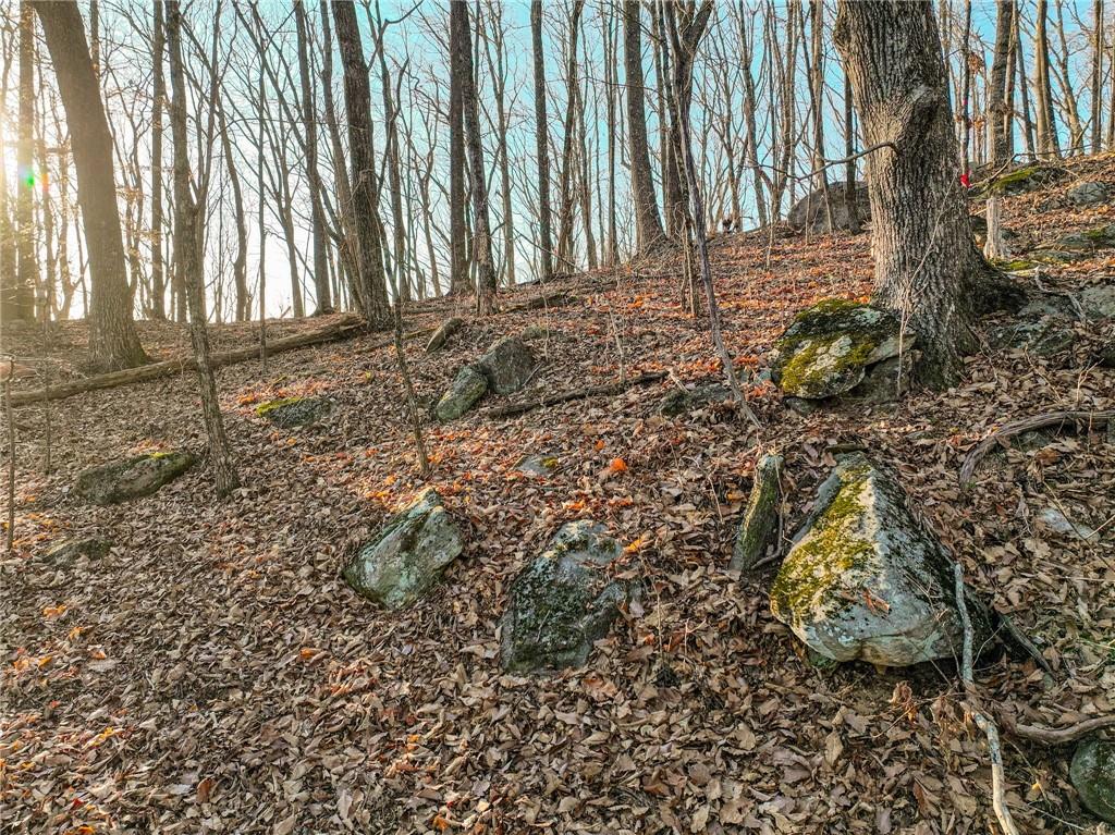 Lot 3 Mount Mincie Road Murrayville, GA 30564 - Photo 4 of 15 a backyard of a house with lots of green space